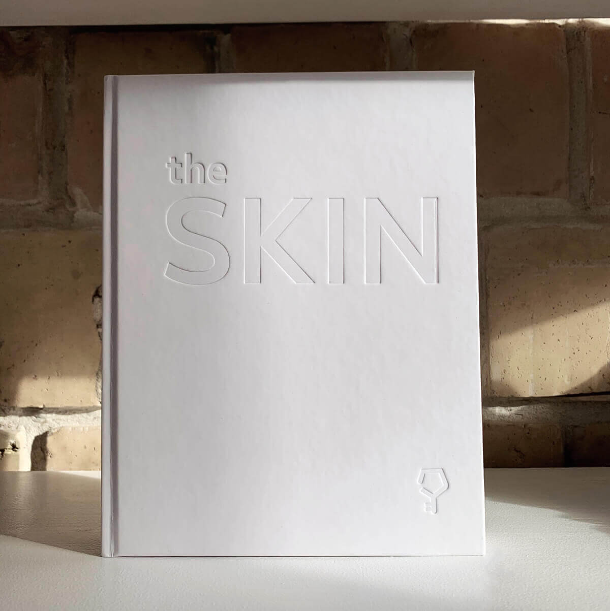 книга the SKIN - Зображення 3